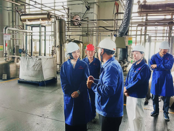 烏魯木齊市科技局局長馬麗娜一行來公司調研